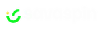 Savaspin